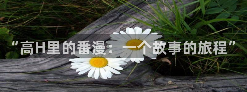 香蕉漫画广告在哪：“高H里的番漫：一个故事的旅程”