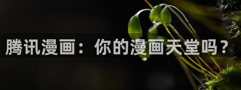 香蕉漫画健身教练：腾讯漫画：你的漫画天堂吗？