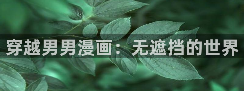 香蕉漫画在线免费阅读：穿越男男漫画：无遮挡的世界
